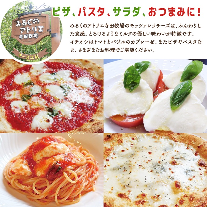 モッツァレラチーズ4個入セット（冷凍）【15000401】