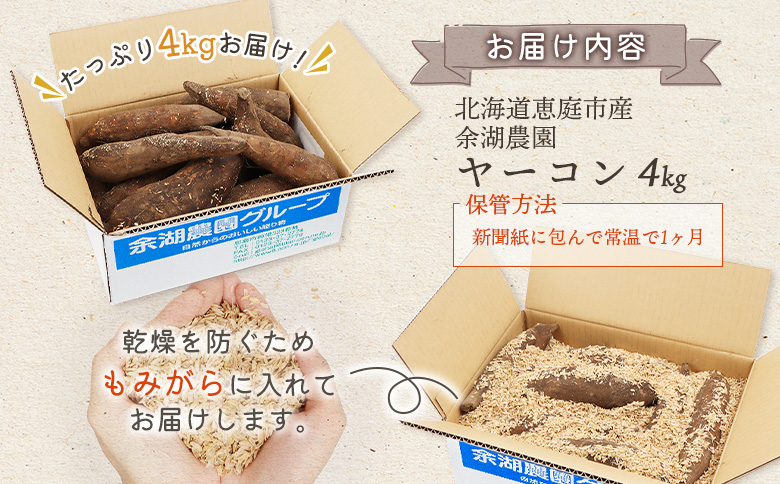 【北海道恵庭市産】余湖農園のヤーコン4kg【31001401】
