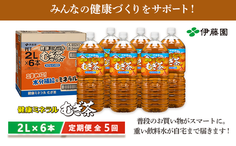 『定期便：全5回』健康ミネラルむぎ茶2L×6本【500010】