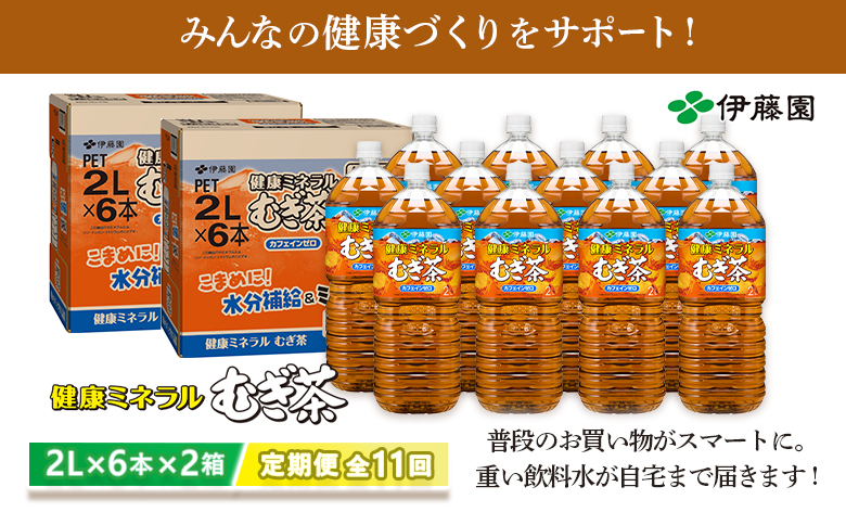 『定期便：全11回』健康ミネラルむぎ茶2L×6本×2箱【500023】