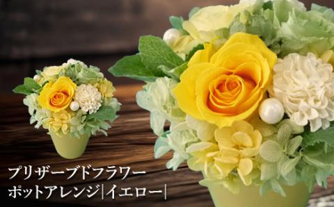 プリザーブドフラワー　ポットアレンジ（イエロー）【140014】