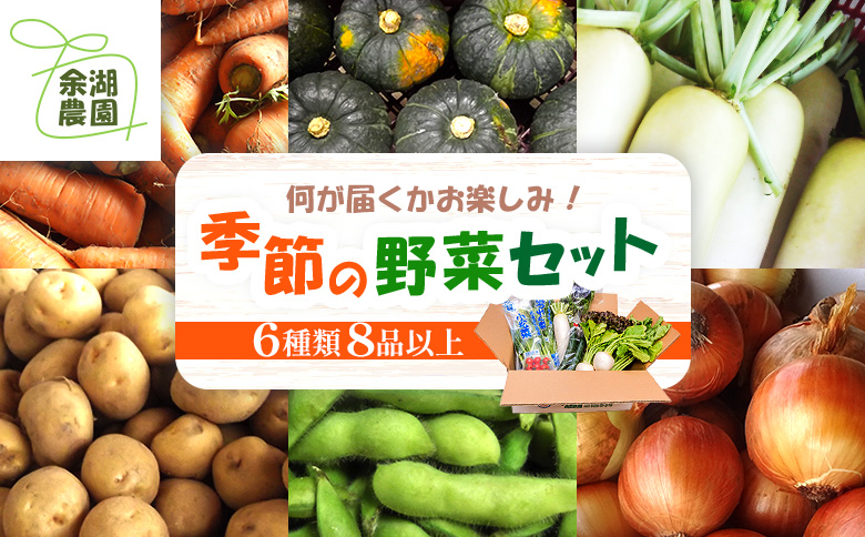北海道産季節の野菜詰め合わせ 6種類8品【31000502】