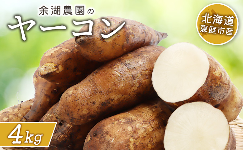 【北海道恵庭市産】余湖農園のヤーコン4kg【31001401】