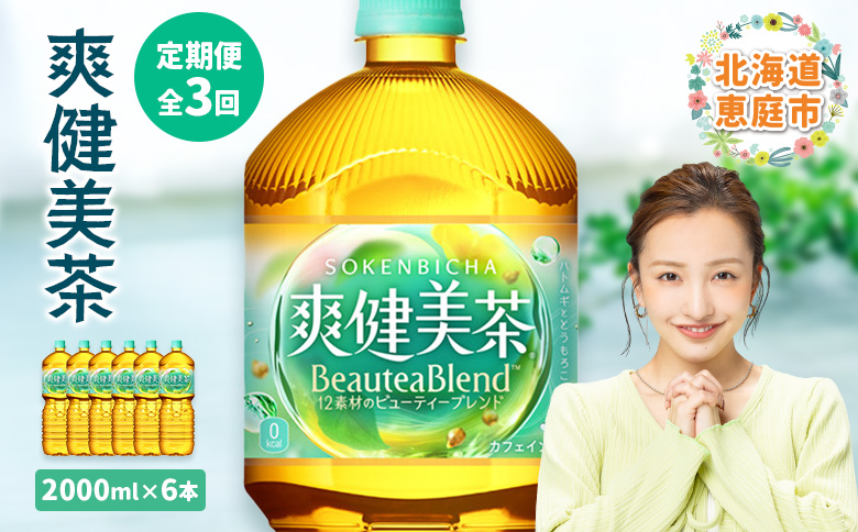 『定期便：全3回』爽健美茶2000mlPET×6本【38000801】