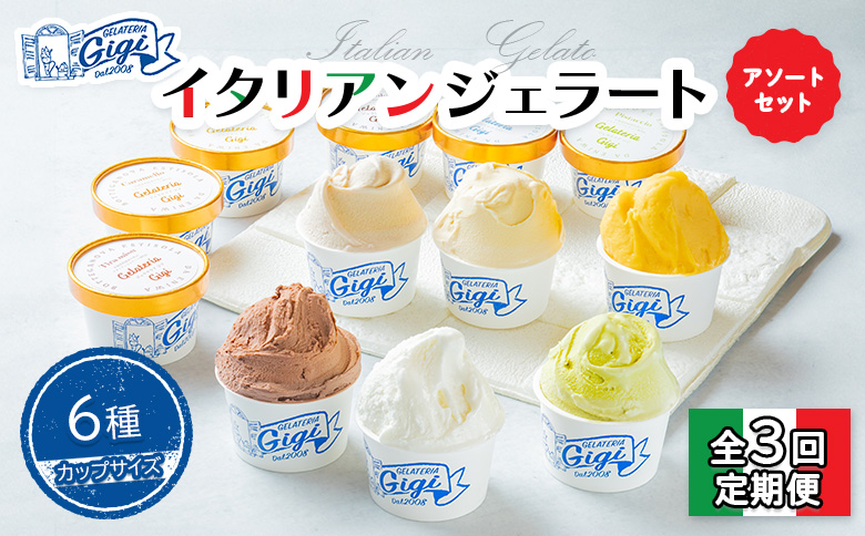 【定期便：全3回】ジェラテリアGigiのイタリアンジェラート6種アソートセットカップサイズ【43004201】