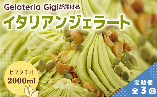 【定期便：全3回】ジェラテリアGigiのイタリアンジェラート『イタリア産ピスタチオ』2000ml【43004802】