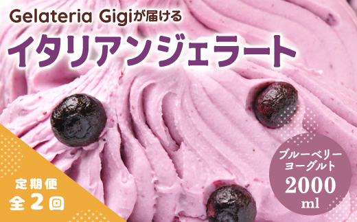【定期便：全2回】ジェラテリアGigiのイタリアンジェラート『ブルーベリーヨーグルト』2000ml【43005702】