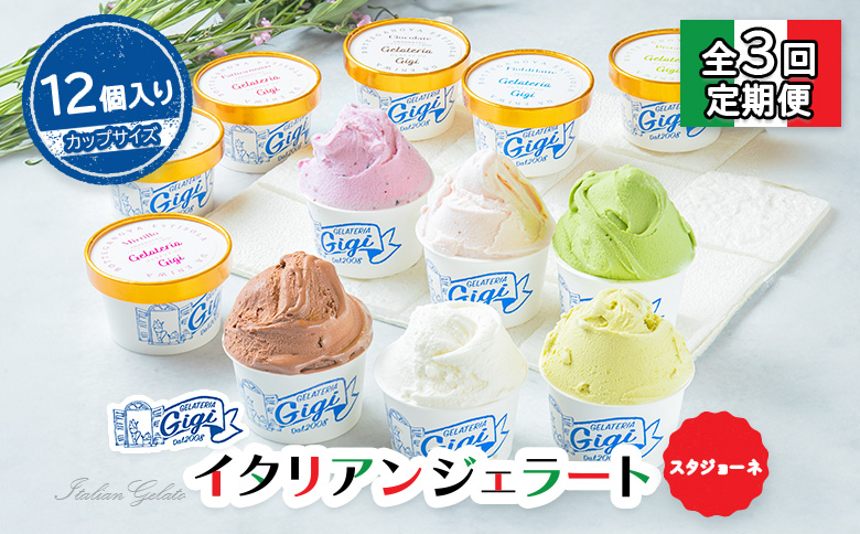 【定期便：全3回】ジェラテリアGigiのイタリアンジェラート6種(Gigiのおまかせ1種入り）【カップサイズ12個】 (牛乳、ピスタチオ、抹茶、チョコレート、ブルーベリーヨーグルト、Gelateria Gigiが選ぶおまかせジェラート)x2【43007001】