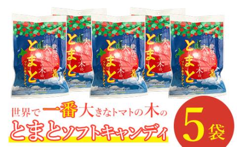 世界で一番大きなトマトの木のとまとソフトキャンディ×5袋【190008】