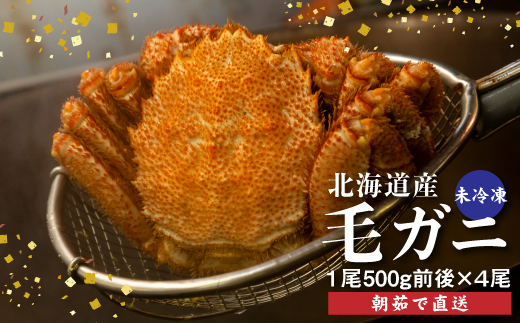 【配達地域限定】『冷蔵』朝茹で直送毛ガニ500g前後×4杯【52001303】