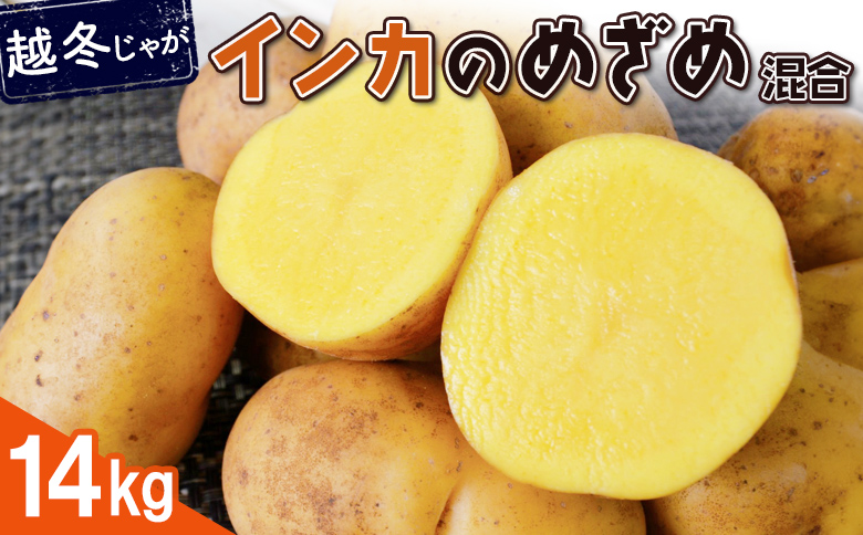 【越冬じゃが】インカのめざめ（混合）　14kg【83000202】
