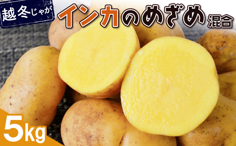 【越冬じゃが】インカのめざめ混合5kg【83001203】