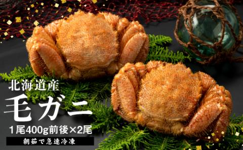 【北海道産】『冷凍』毛ガニ400g前後×2杯【急速冷凍】【520018】