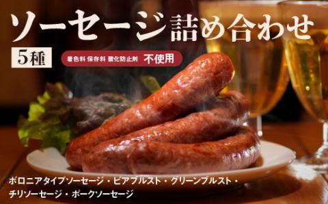 5種ソーセージ詰め合わせ（S-4）保存料不使用【580003】