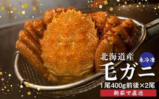 【配達地域限定】『冷蔵』朝茹で直送毛ガニ400g前後×2杯【52001004】