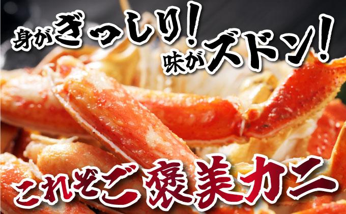 オオズワイ姿（訳あり品）5kg｜かに カニ ズワイガニ オオズワイ【ysk-003】 5kg