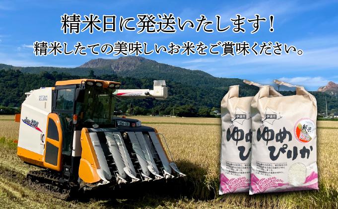 令和7年産 《9月20日発送開始》ゆめぴりか精米 10kg 生産者直送 北海道伊達産 | 北海道のブランド米 もっちり食感 冷めても美味しい　tkk-003_03 10kg