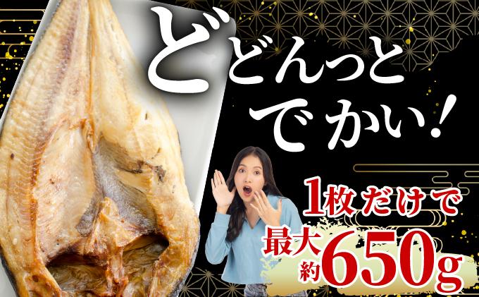 ほっけの一夜干し(大)5枚 5枚