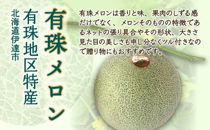 ＜2026年先行予約＞北海道産 有珠メロン 3玉 セット Lサイズ 1.6kg以上 赤肉×1 青肉×2 計3玉 食べ比べ ツル付き 果物 めろん フルーツ くだもの 完熟 旬 ご褒美 ギフト 産地直送 お取り寄せ 北海道 藤川農園 送料無料 伊達 55250478