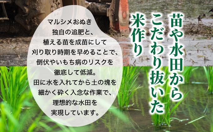 ◆R7年産◆ JGAP認証【おぬきさん家のゆめぴりか】5kg [ 3ヶ月定期便 ] ≪北海道伊達産≫ maru-005 5kg[3ヶ月定期便] 
