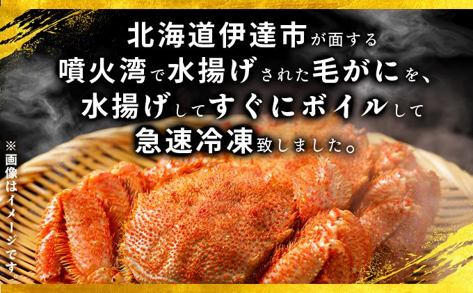 北海道 噴火湾産 冷凍 ボイル 毛がに 約300g×2尾 約300g×2尾