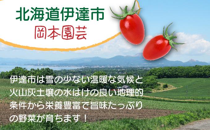 【2026年先行予約】北海道 伊達 岡本園芸 ミニトマト 高糖度 約4kg【マジウマ！トマト】 4kg