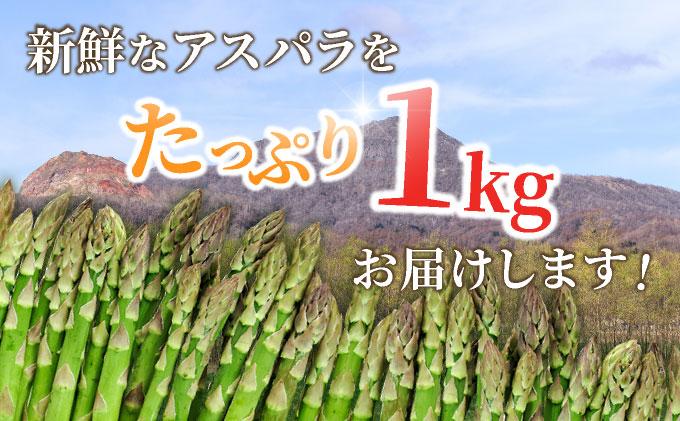 ＜2026年5月中旬〜順次お届け＞ グリーンアスパラ（2L～Lサイズ）【dnk-002】アスパラ アスパラガス 野菜 伊達野菜 パスタ ソテー 北海道 伊達市
