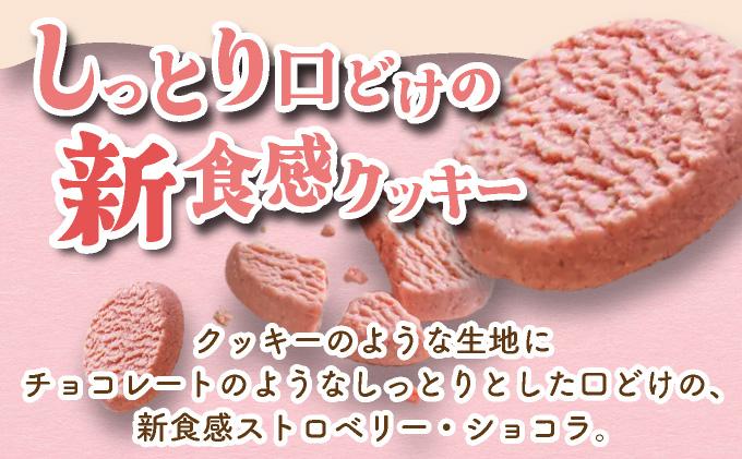 北海道産 ストロベリー ミルク プリン 5個 ショコラ クッキー 10個 セット 詰合せ 森のおくりもの いちご イチゴ 苺 ストロベリー 牛乳 すずあかね クッキー お菓子 おやつ スイーツ デザート 規格外 常温 送料無料