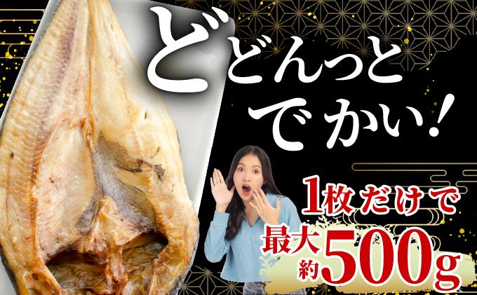 ほっけの一夜干し(中)5枚 5枚