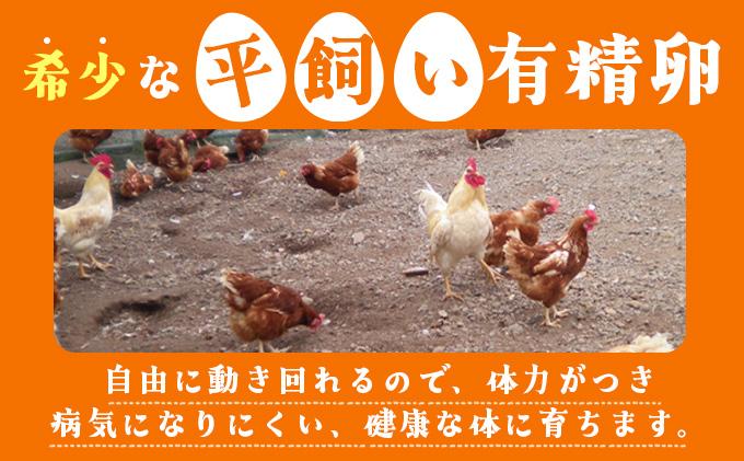 北海道 たまごの心 40個 Lサイズ 太陽の園 平飼たまご 有精卵 たまご 卵 生たまご 鶏卵 北海道産 鶏の卵 ポリスブラウン 食材 卵かけごはん TKG オムレツ オムライス タンパク質 ゆで卵 よく使う食材 万能食材 【農福連携】【tys-001】