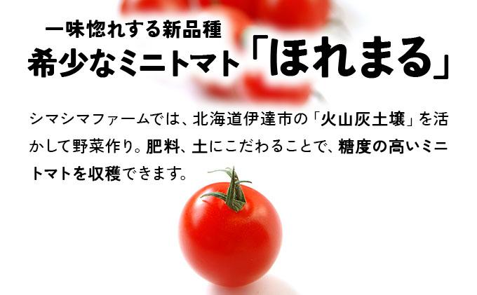 【 2026年発送 】 先行予約 北海道 伊達市 ミニトマト ほれまる 3kg 【オンライン決済限定】55250962