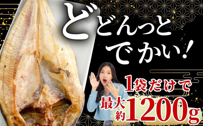 ほっけの一夜干し(特大)5枚 5枚