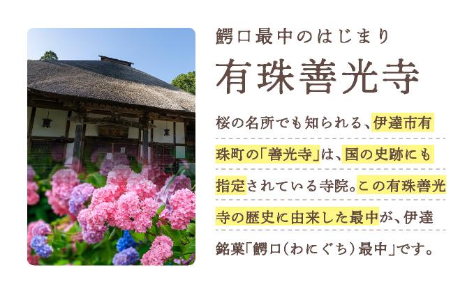 伊達銘菓 有珠善光寺  鰐口最中 10個セット