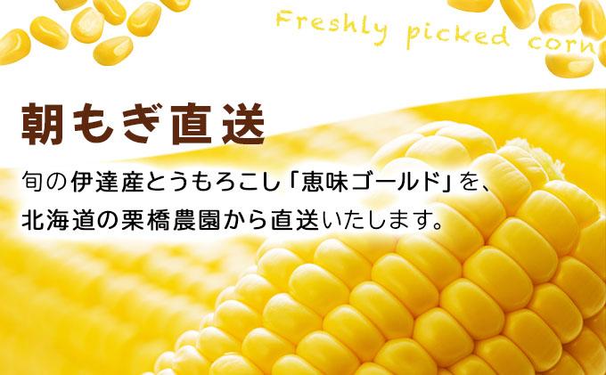 【 2026年先行予約】北海道 朝もぎ とうもろこし 恵味 ゴールド L-LLサイズ 10本 スイート コーン トウモロコシ とうきび 旬 完熟 野菜 採れたて 朝採り 甘い めぐみ 産地直送 道産 送料無料[55250828] 10本