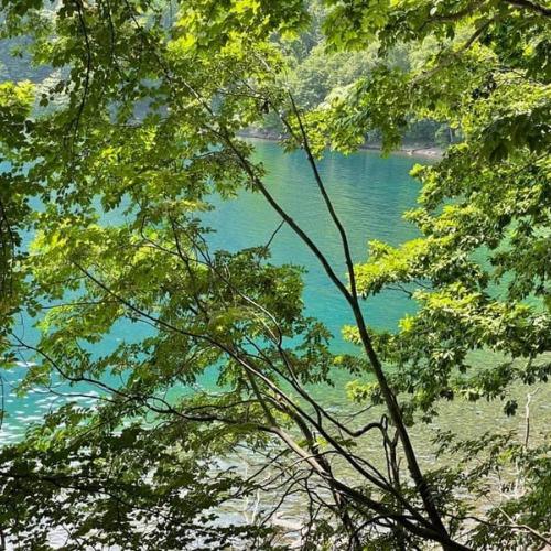 伊達おさんぽかふぇ「森と海さんぽ～ポロノットと有珠の海岸～」