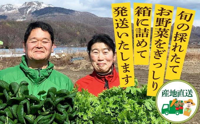 【2026年発送】 先行予約 新鮮採れたて！旬の伊達野菜セット（6～8種）【オンライン決済限定】55250703