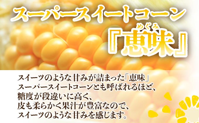 ＜2026年先行予約＞北海道産 朝もぎ とうもろこし 恵味 L-LLサイズ 約400g×15本 スイートコーン ゴールドコーン トウモロコシ とうきび コーン 旬 完熟 野菜 甘い おやつ 産地直送 お取り寄せ 北海道 送料無料 伊達 55250481