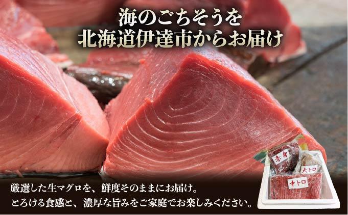 本マグロ（大トロ・中トロ・赤身）訳ありセット 500g【ogm-024】 500g