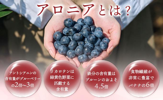 北海道 伊達大滝産 アロニア ベリー 赤い はちみつ 50g×2 国産 ハチミツ 蜂蜜 ハニー 赤はちみつ スーパーフード 北のハイグレード食品 ギフト 花カフェアイバレー 送料無料 50g×2