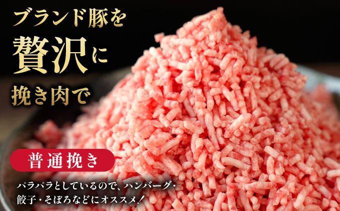 ＜黄金豚＞ブランドポーク 北海道 豚ひき肉 普通挽き 200g 30パック 計6kg | 伊達産 黄金豚 三元豚 ミンチ 挽肉 お肉 小分け ハンバーグ 餃子 カレー 大矢 オオヤミート 冷凍 送料無料 普通挽き(6kg)