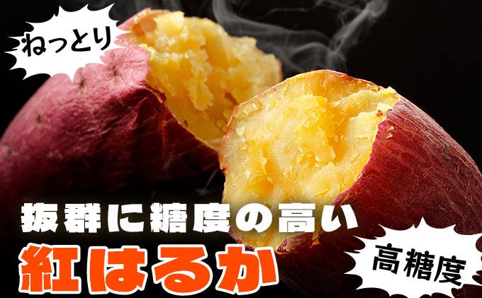 《高糖度》さつまいも 紅はるか 15kg 【産地直送】熟成 高糖度 サツマイモ 芋 甘い スイートヤバ芋 産地直送 北海道 伊達市 15kg