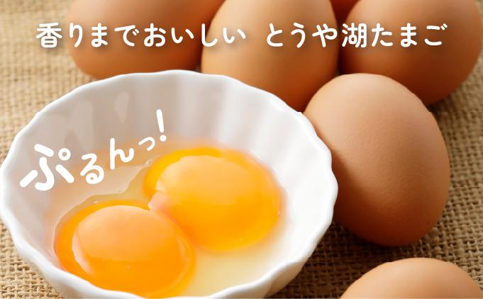 北海道 伊達市 とうや湖 卵  40個 入り たまご 40個　通常配送
