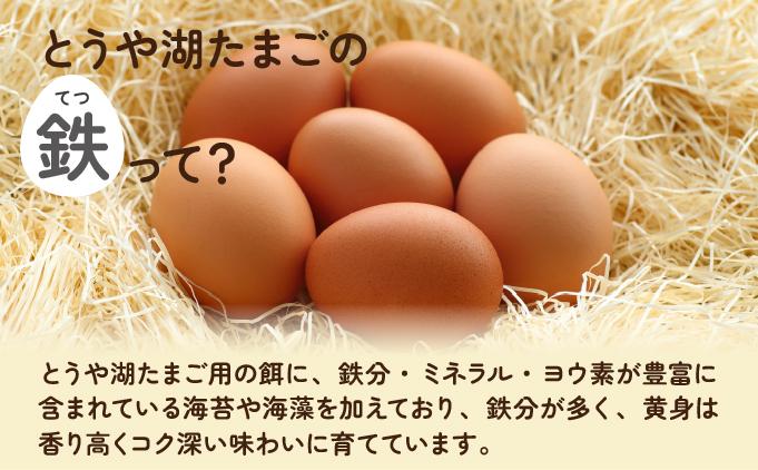 【6ヵ月 定期便】 北海道 伊達市 とうや湖 卵 鉄  40個 入り たまご 40個　6ヵ月 定期便