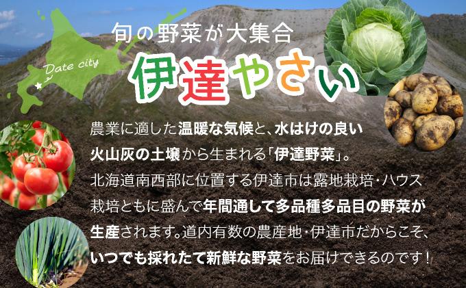 【2026年発送】【先行予約】 北海道 伊達市 産直・旬のおまかせ野菜詰合せ 9〜10種 dnk-001 9～10種