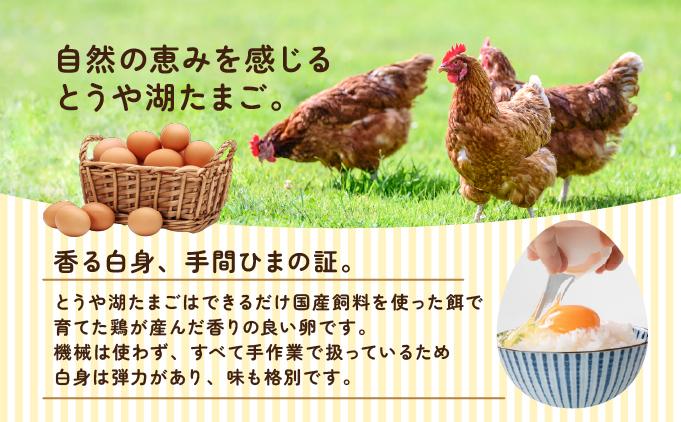 【3ヵ月 定期便】 北海道 伊達市 とうや湖 卵 鉄  80個 入り たまご 80個　3ヵ月 定期便