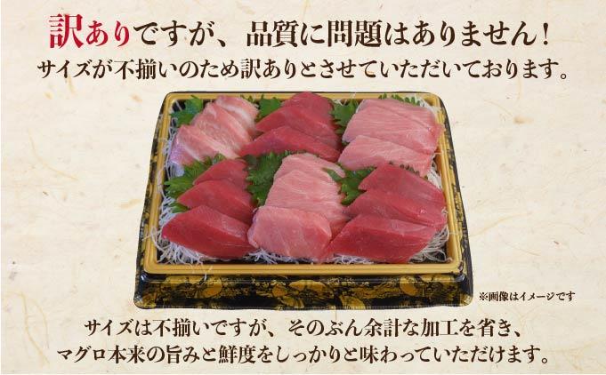 本マグロ（大トロ・中トロ・赤身）訳ありセット 1kg【ogm-025】 1kg