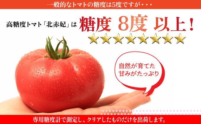 【2026年 発送 】 先行予約 北海道 伊達市 高糖度 トマト 北赤妃 きせき 約1kg  1箱 Mサイズ とまと 新鮮 ジューシー 産地直送 約1kg 1箱 Mサイズ