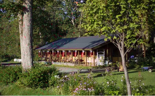 北海道伊達大滝産アロニアベリーの【赤いはちみつ】お試しセット「赤いはちみつのあるくらし」 約2.5g×8本入×2パック