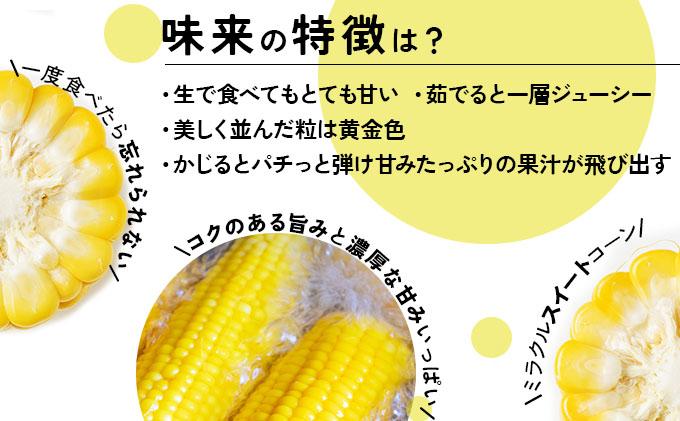 ＜先行予約＞【2026年発送】北海道産 とうもろこし 味来 L～LLサイズ 20本入り【55250823】トウモロコシ みらい ミライ とうきび スイート イエロー コーン 旬 新鮮 朝もぎ 農作物 甘い お取り寄せ 産地直送 送料無料