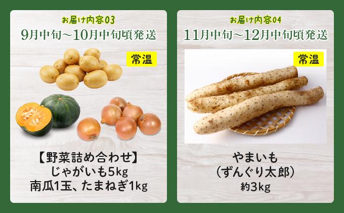 【先行予約】のぐち北湯沢ファームの年5回 定期便 グリーンアスパラ とうもろこし2種 野菜詰め合わせ やまいも ギフトセット 55251181